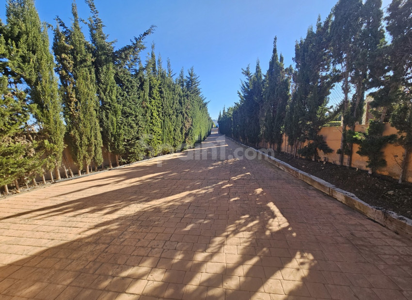 Resale - Villa -
La Manga Club