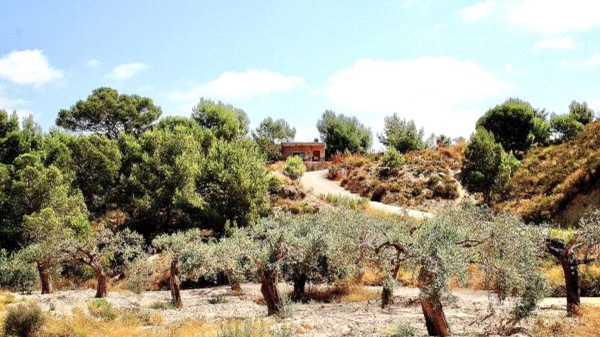 Resale - Villa -
Murcia - Costa Blanca Sur