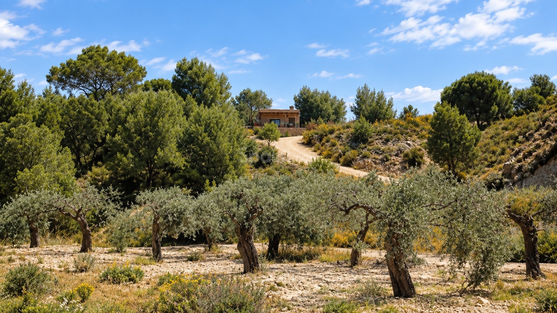 Resale - Villa -
Murcia - Costa Blanca Sur