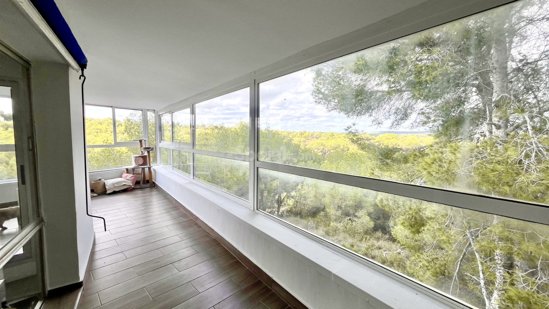 Resale - Villa -
Pinar de Campoverde