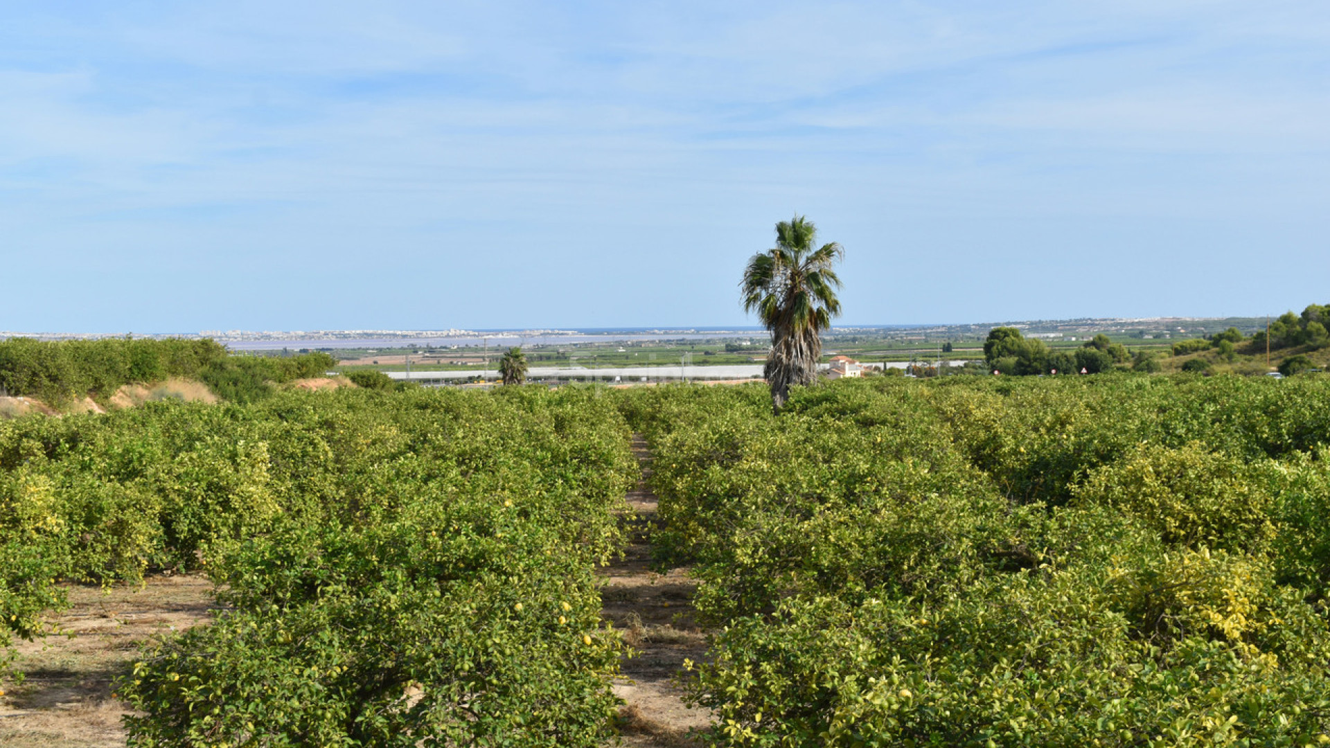 Resale - Villa -
Torremendo