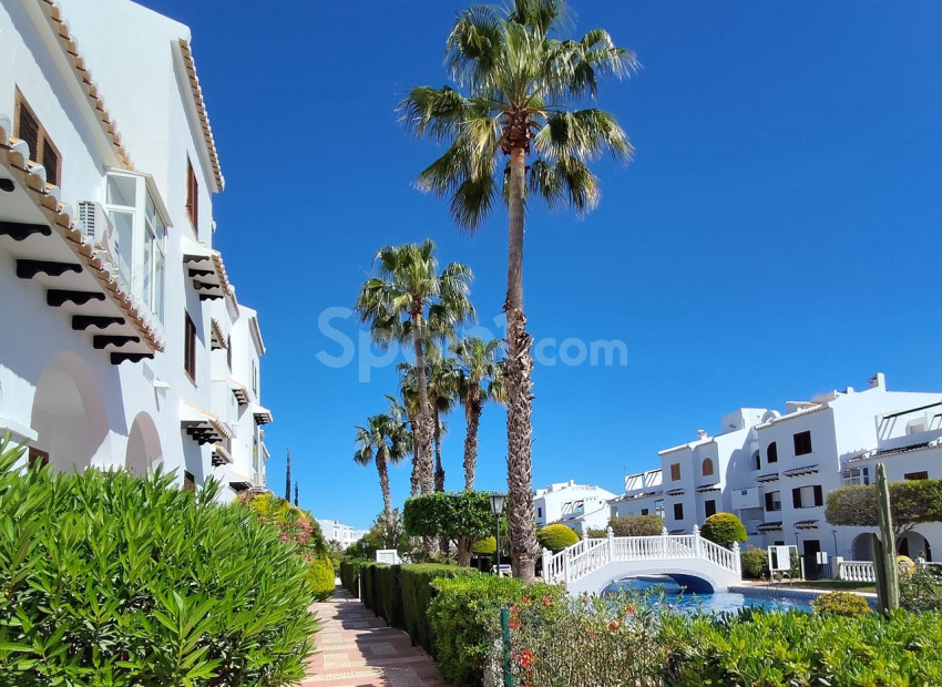 Resale - Wohnung -
Ciudad Quesada - Cuidad Quesada