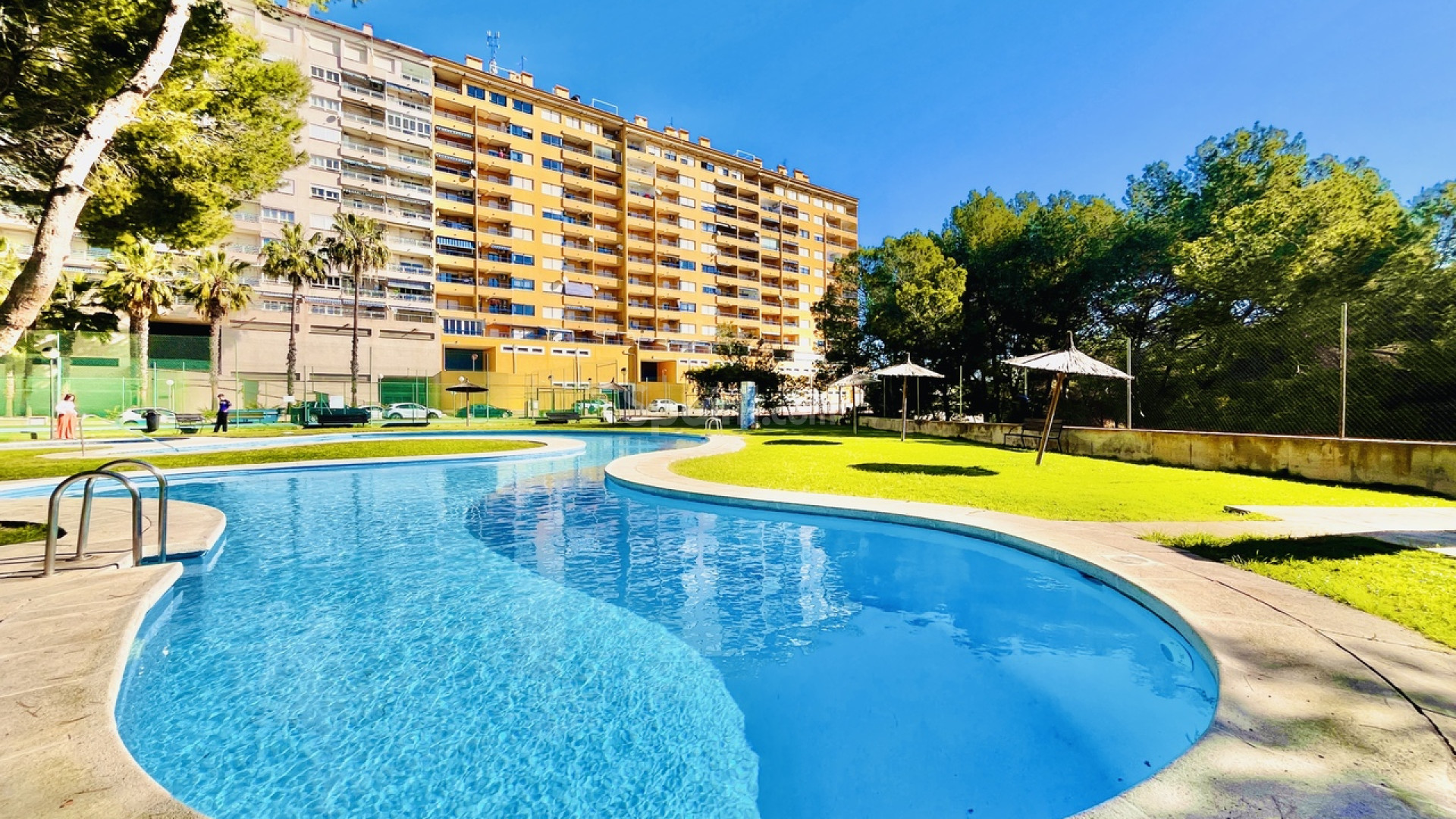 Resale - Wohnung -
Dehesa de Campoamor - Campoamor
