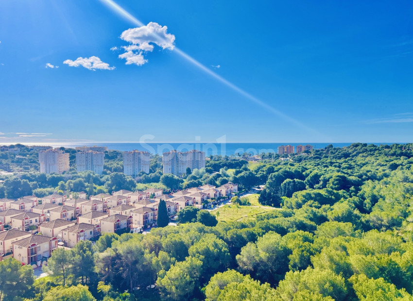 Resale - Wohnung -
Dehesa de Campoamor - Campoamor