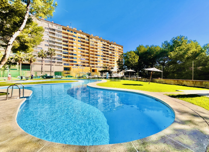 Resale - Wohnung -
Dehesa de Campoamor - Campoamor