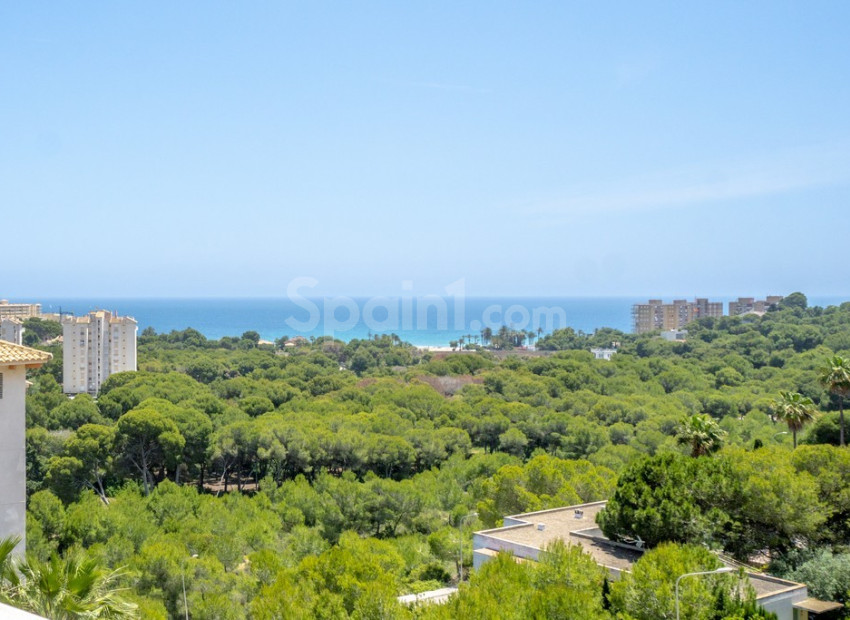 Resale - Wohnung -
Dehesa de Campoamor - Campoamor
