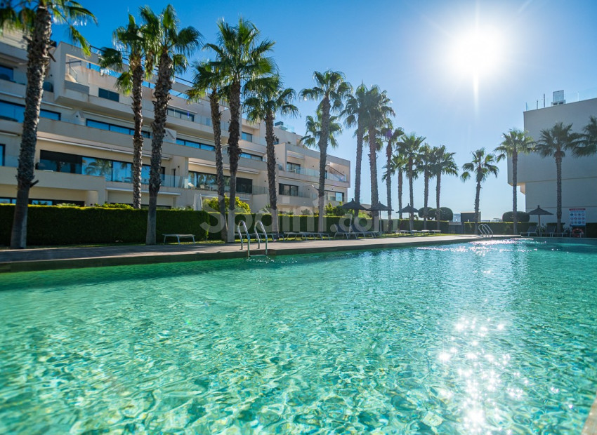 Resale - Wohnung -
LAS COLINAS GOLF RESORT