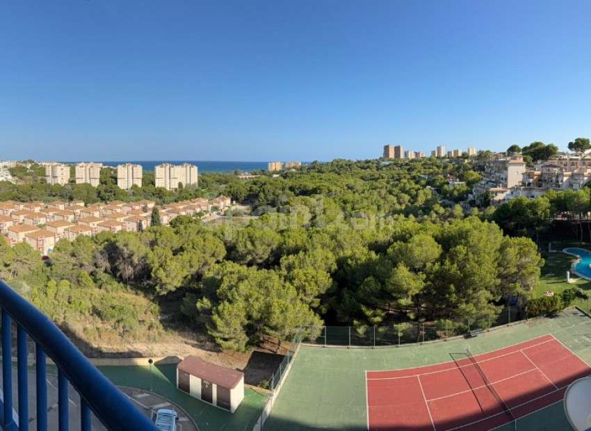 Resale - Wohnung -
Orihuela Costa - Campoamor