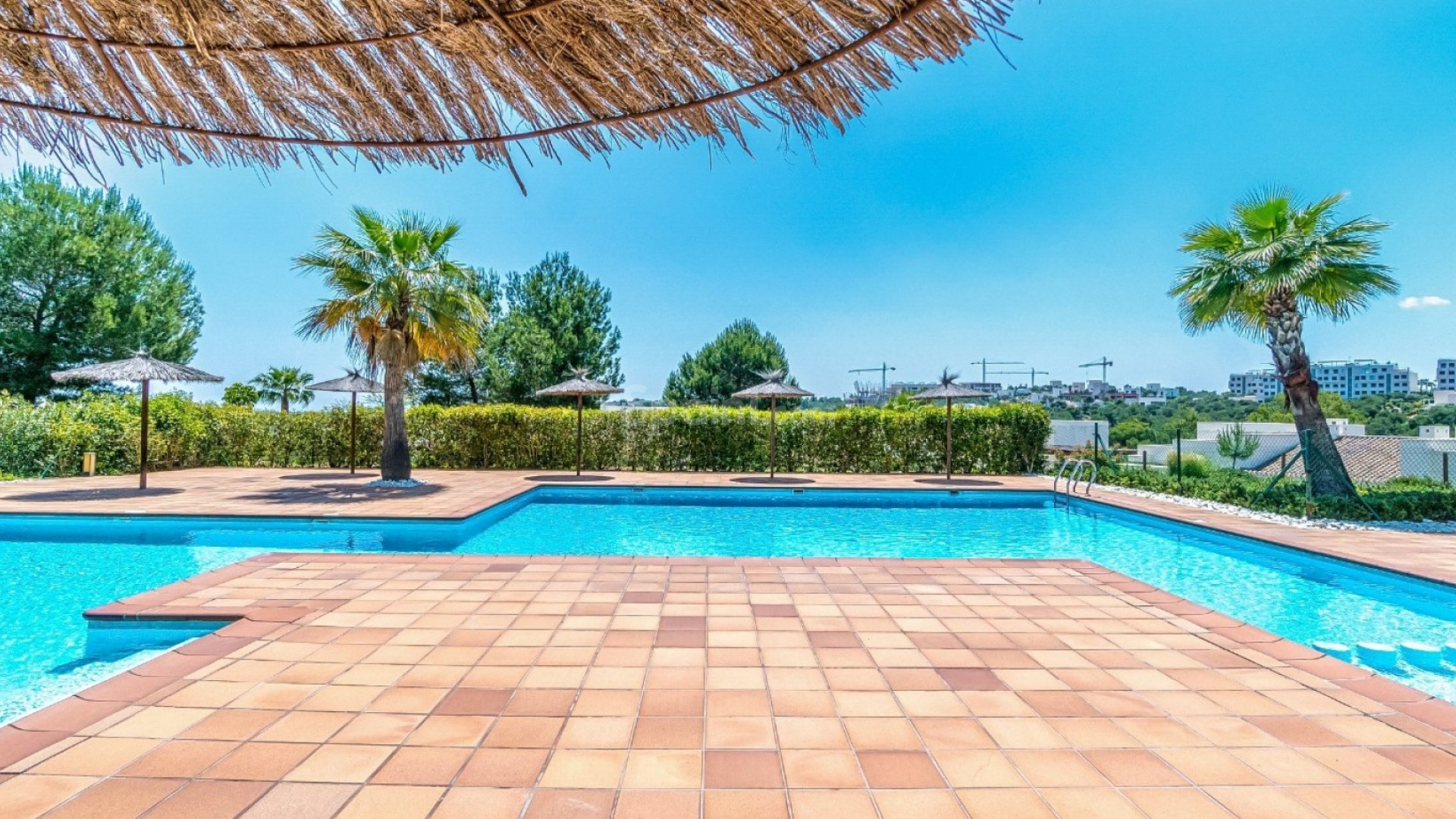 Resale - Wohnung -
Orihuela Costa - LAS COLINAS GOLF RESORT