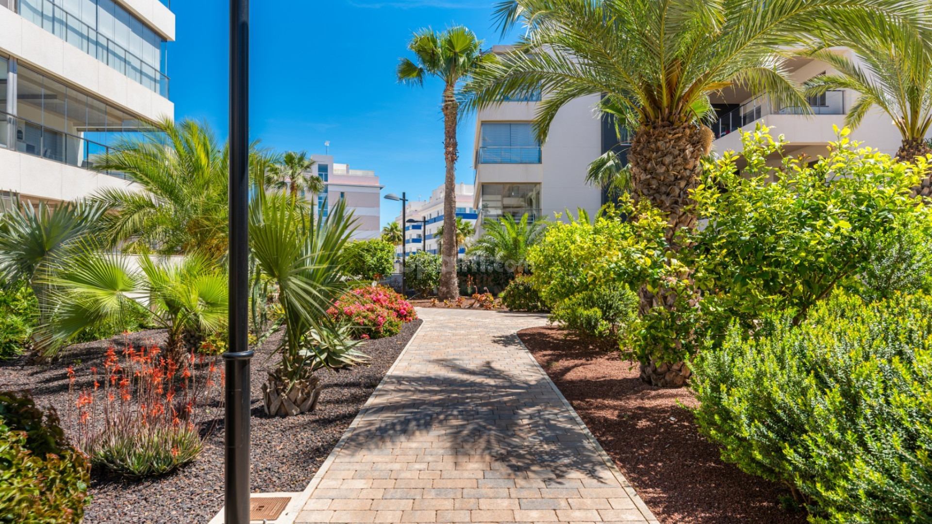 Resale - Wohnung -
Orihuela Costa - Villamartin