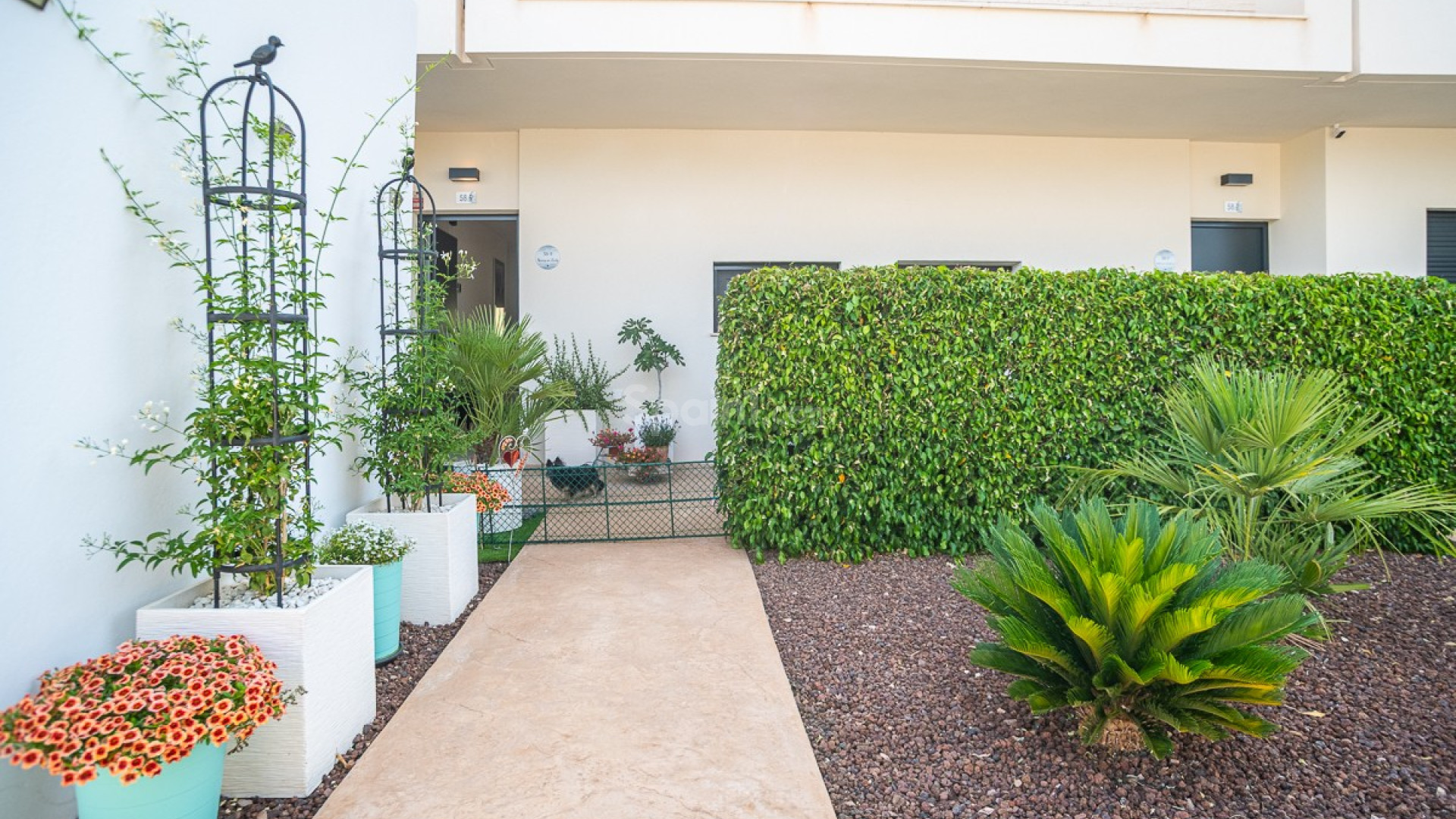 Resale - Wohnung -
Pilar de la Horadada - Lo Romero Golf