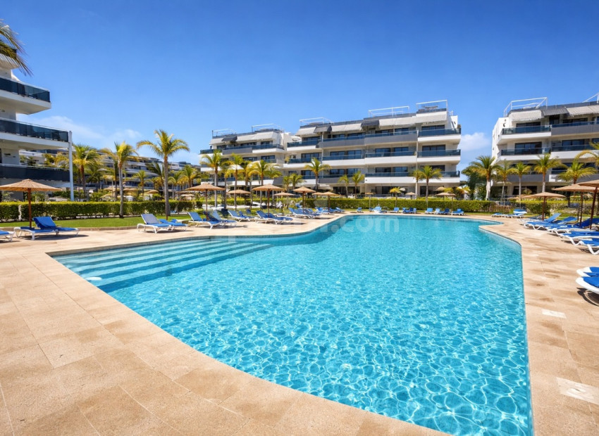 Resale - Wohnung -
Playa Flamenca