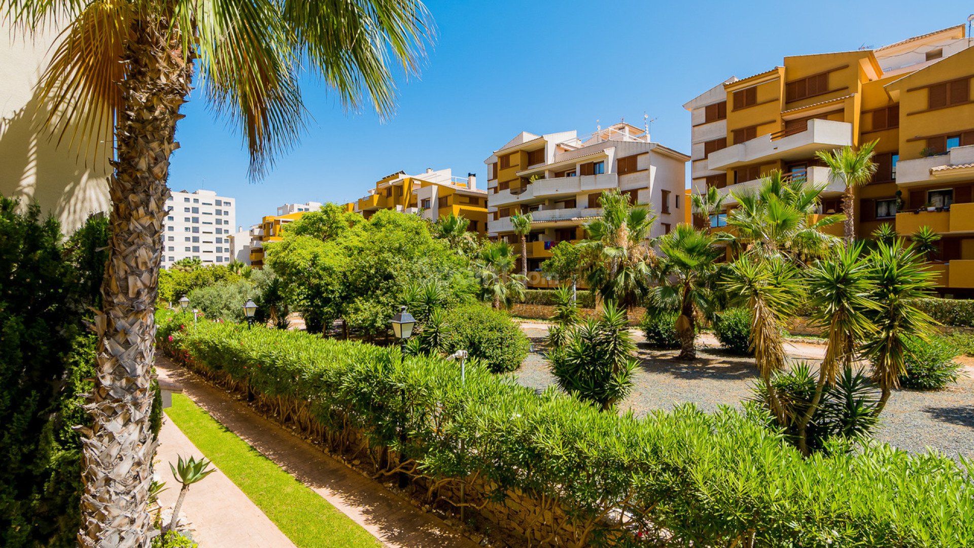 Resale - Wohnung -
Punta Prima