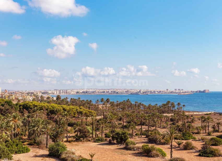 Resale - Wohnung -
Punta Prima