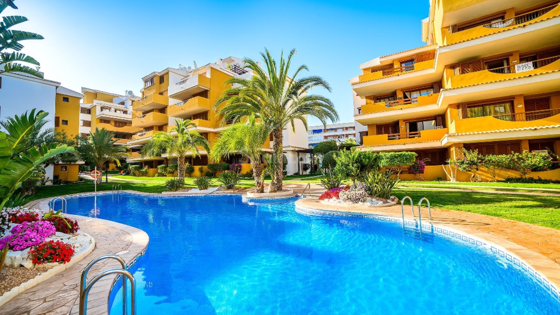 Resale - Wohnung -
Punta Prima