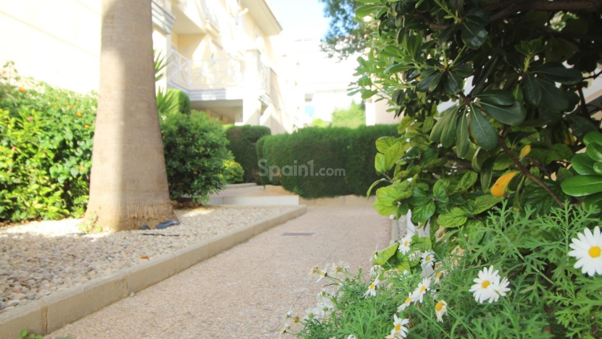 Resale - Wohnung -
Torrevieja - La Veleta