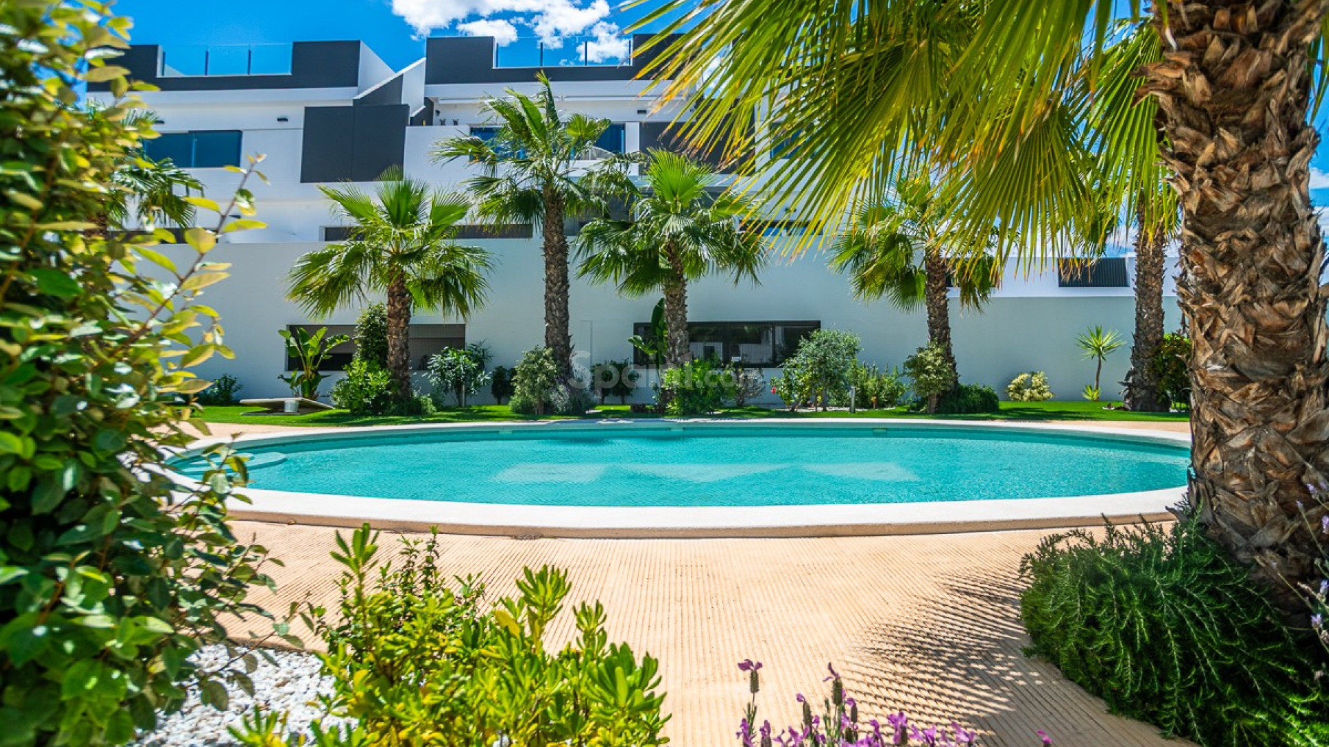 Resale - Wohnung -
TORREVIEJA - Los Balcones
