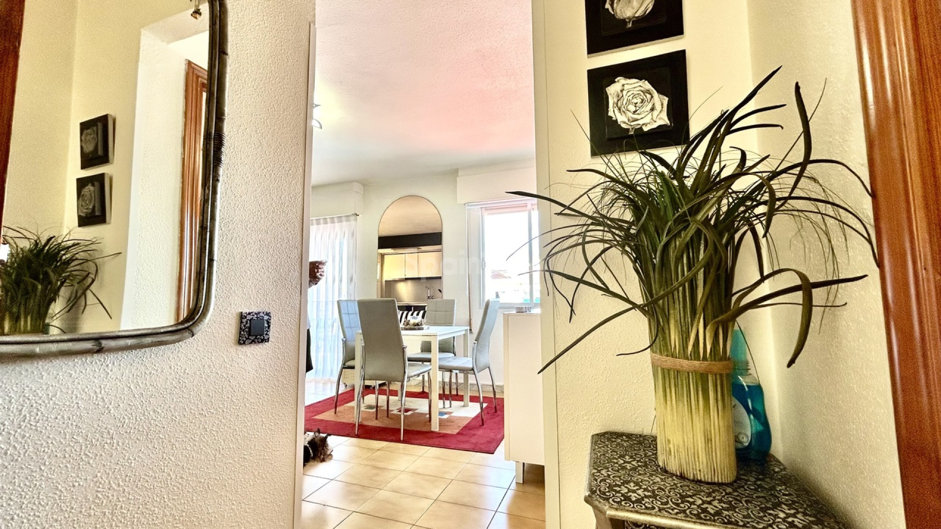 Resale - Wohnung -
Torrevieja