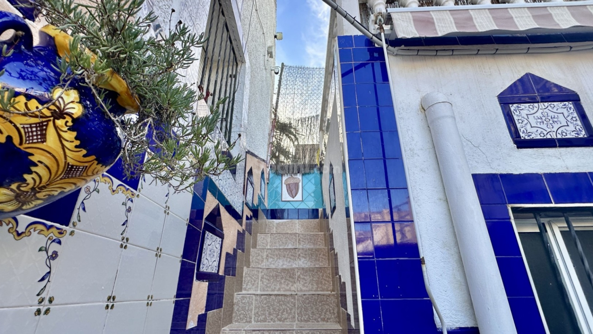 Segunda mano - Adosado -
Benijófar - Benijofar