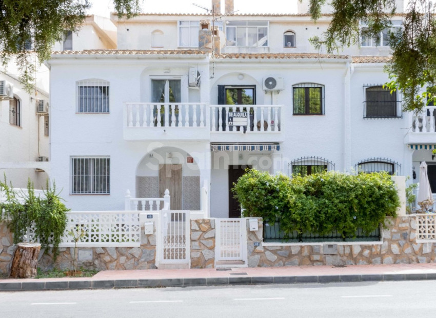 Segunda mano - Adosado -
Orihuela Costa - La Zenia