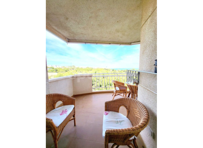 Segunda mano - Apartamento -
Dehesa de Campoamor - Campoamor