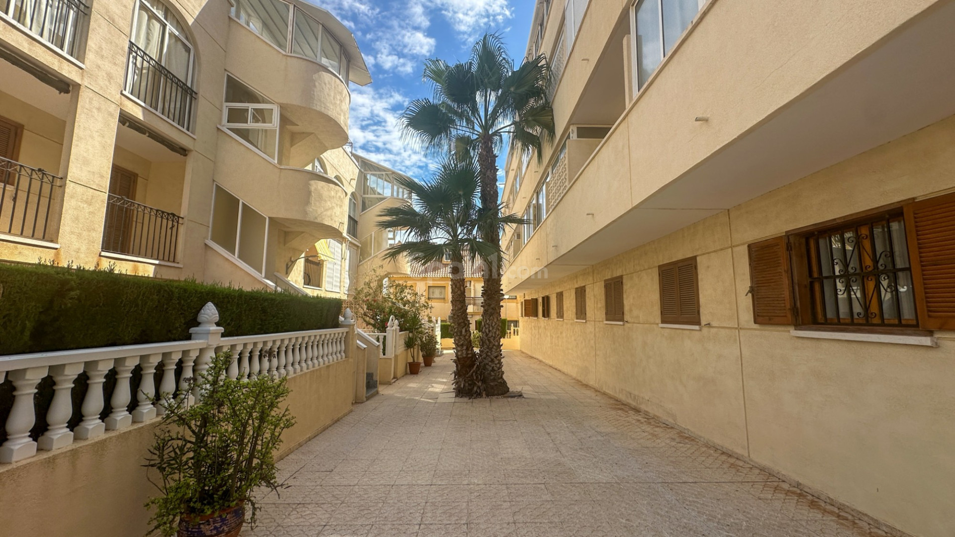 Segunda mano - Apartamento -
La Zenia