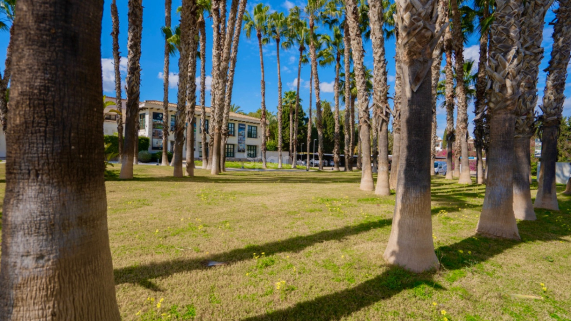 Segunda mano - Apartamento -
Orihuela - Costa Blanca Sur