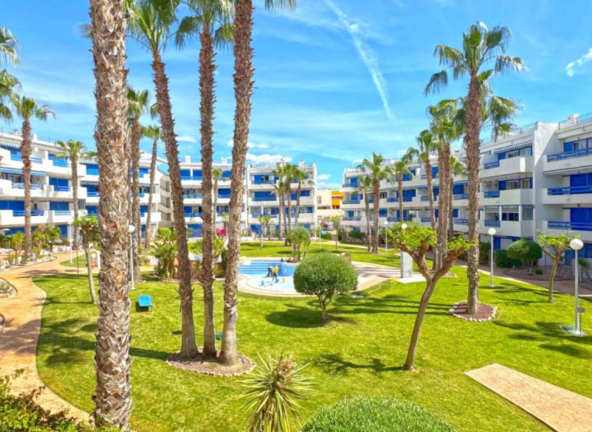 Segunda mano - Apartamento -
Orihuela Costa - Playa Flamenca