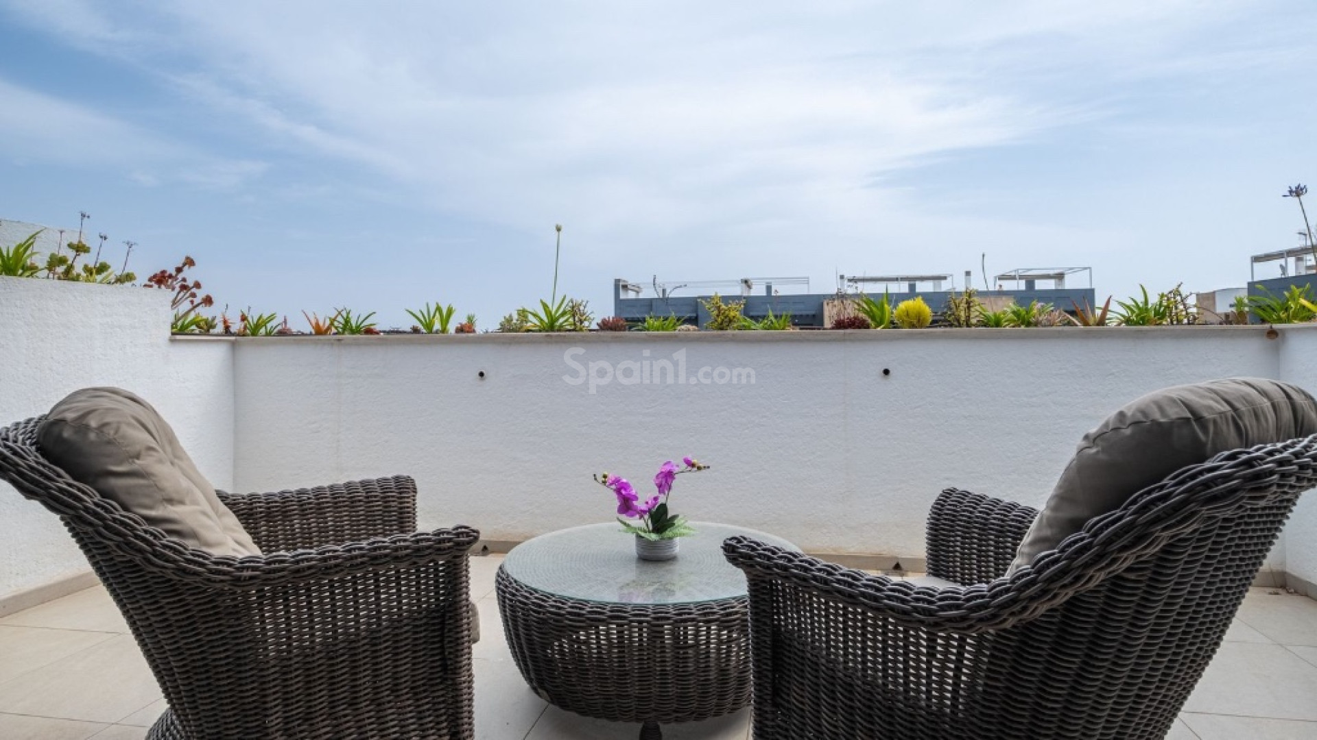 Segunda mano - Apartamento -
Orihuela Costa - Playa Flamenca