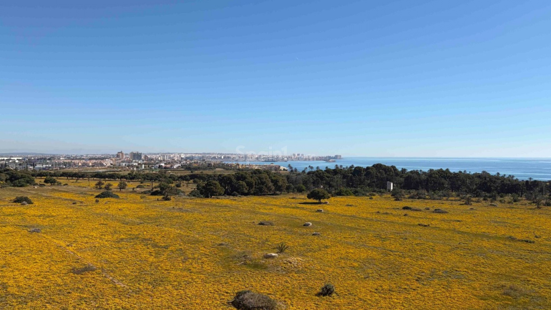Segunda mano - Apartamento -
Orihuela Costa - Punta Prima