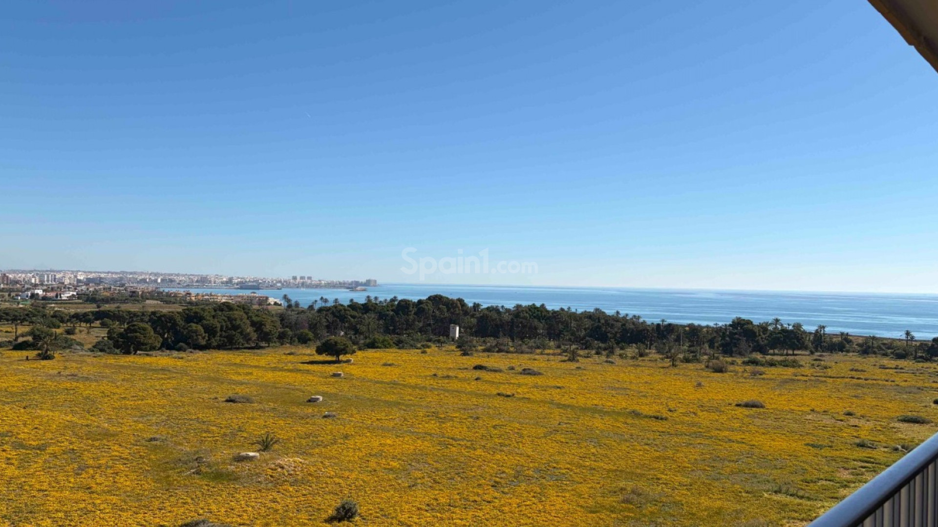 Segunda mano - Apartamento -
Orihuela Costa - Punta Prima