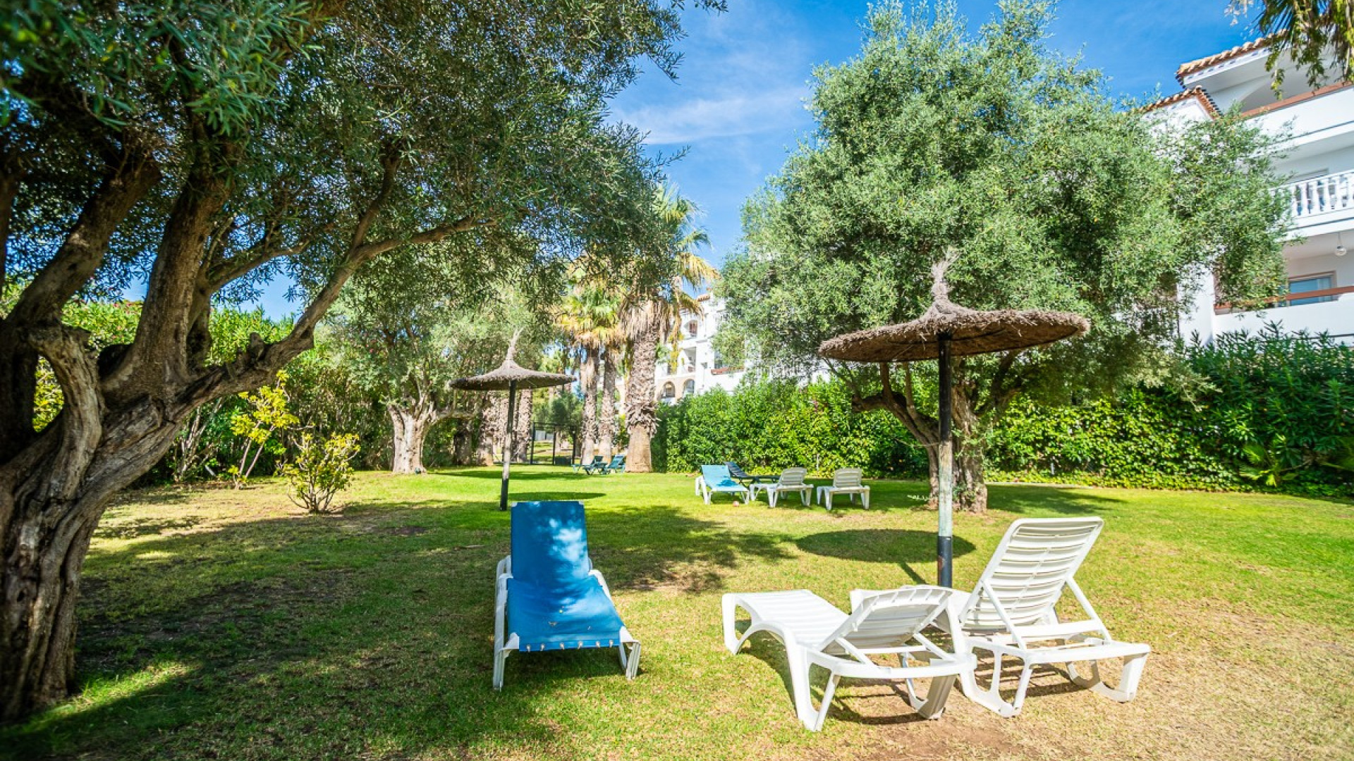 Segunda mano - Apartamento -
ORIHUELA - VILLAMARTÍN