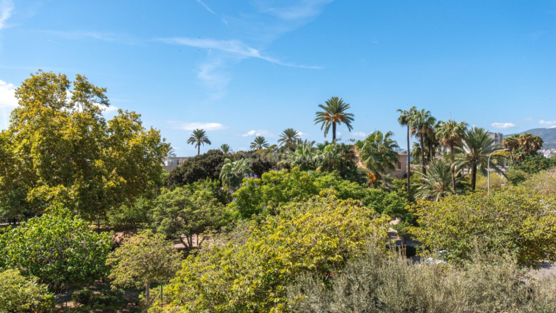 Segunda mano - Apartamento -
Palma de Mallorca - Mallorca