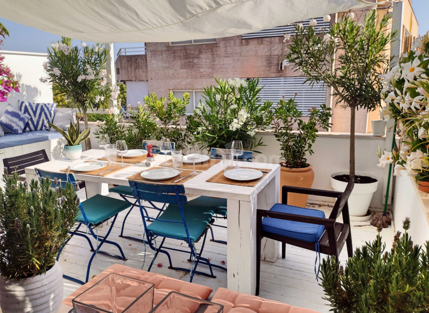 Segunda mano - Apartamento -
Palma