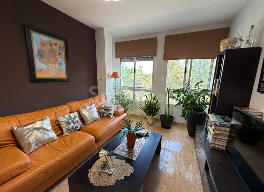 Segunda mano - Apartamento -
Pilar De La Horadada - Pilar de la Horadada