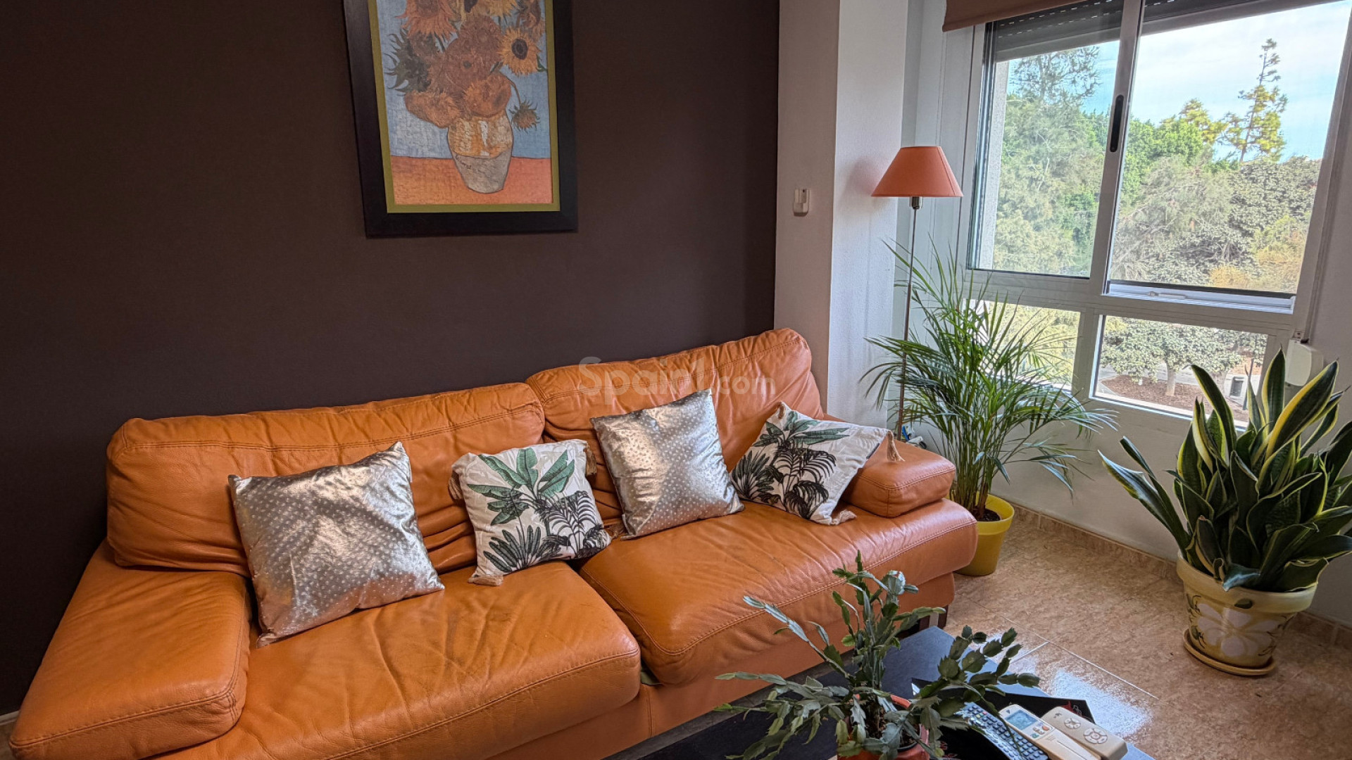Segunda mano - Apartamento -
Pilar De La Horadada - Pilar de la Horadada