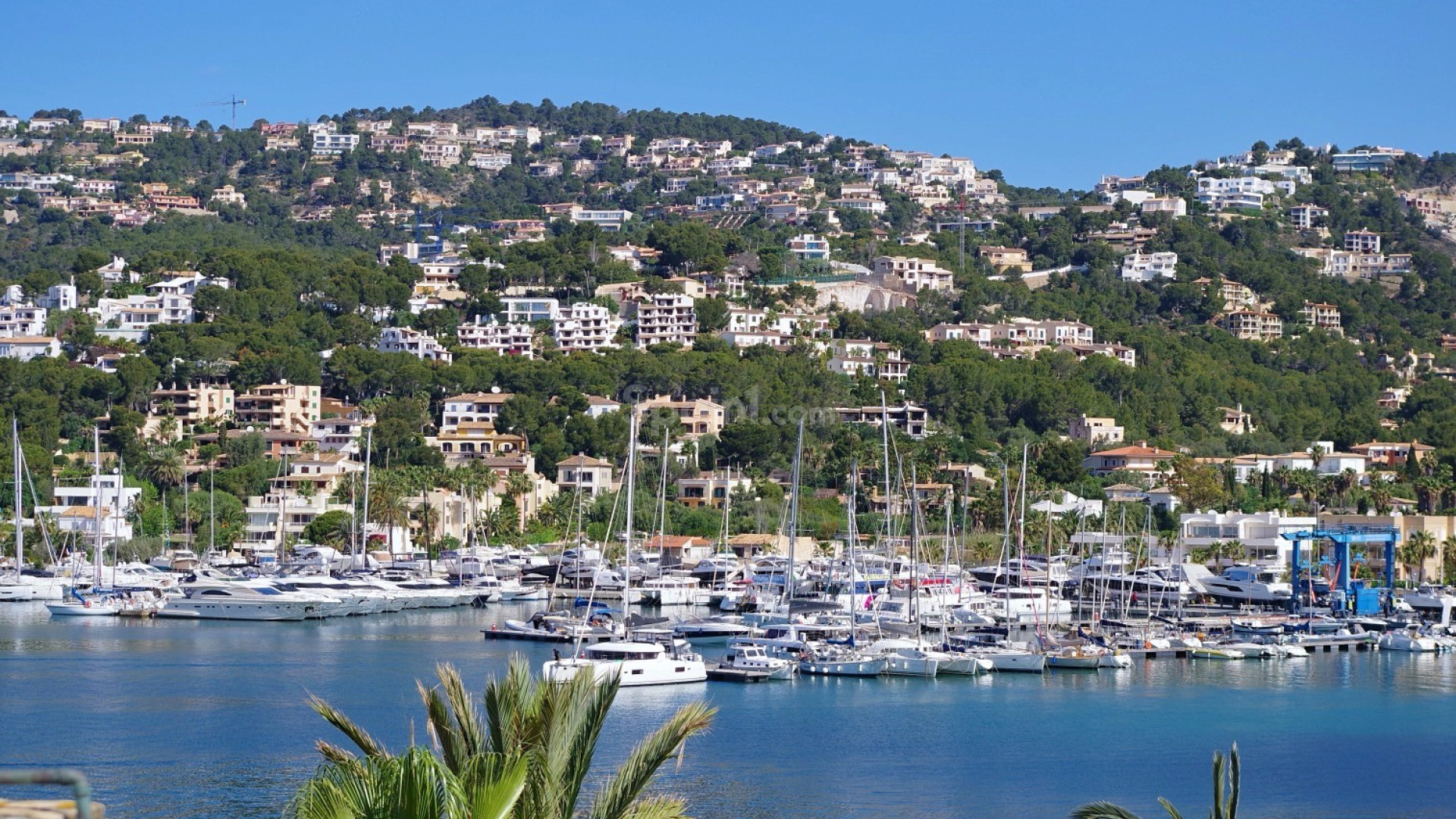 Segunda mano - Apartamento -
Port d'Andratx - Andratx