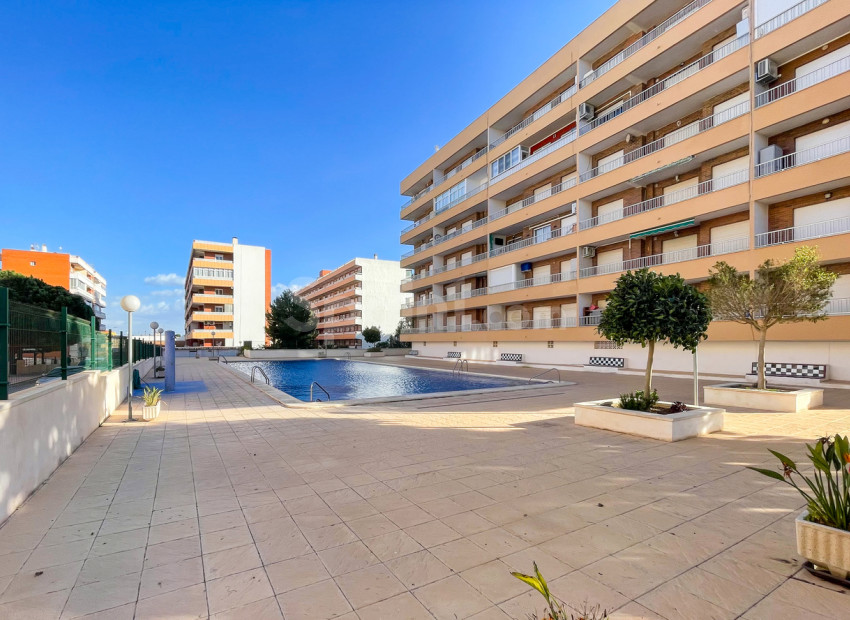 Segunda mano - Apartamento -
Punta Prima