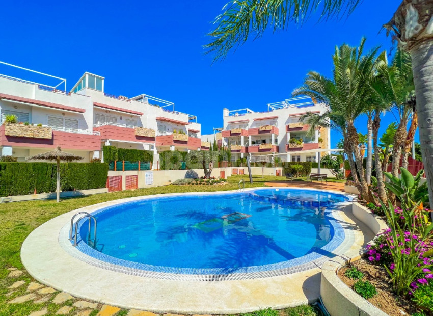 Segunda mano - Apartamento -
Punta Prima