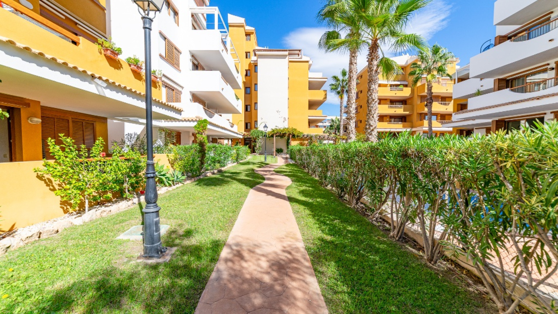 Segunda mano - Apartamento -
Punta Prima