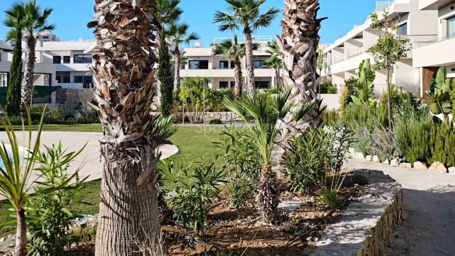 Segunda mano - Apartamento -
Torrevieja - La Veleta