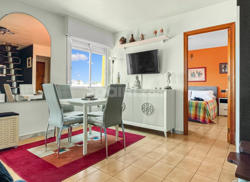 Segunda mano - Apartamento -
Torrevieja - Mar Azul