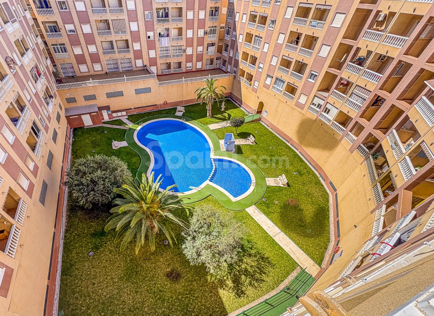 Segunda mano - Apartamento -
TORREVIEJA - Parque de las Naciones