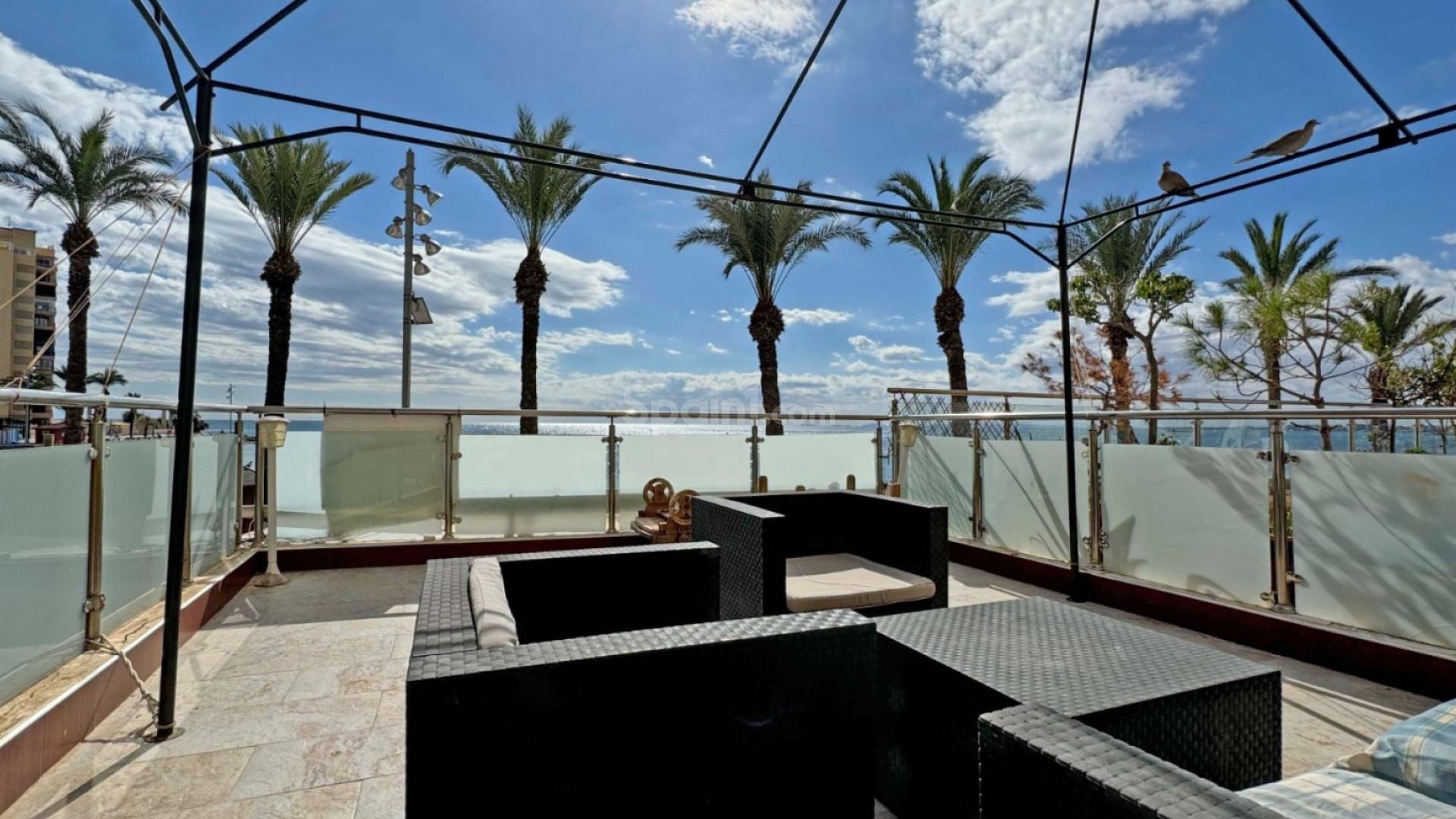 Segunda mano - Apartamento -
Torrevieja - Playa del Cura