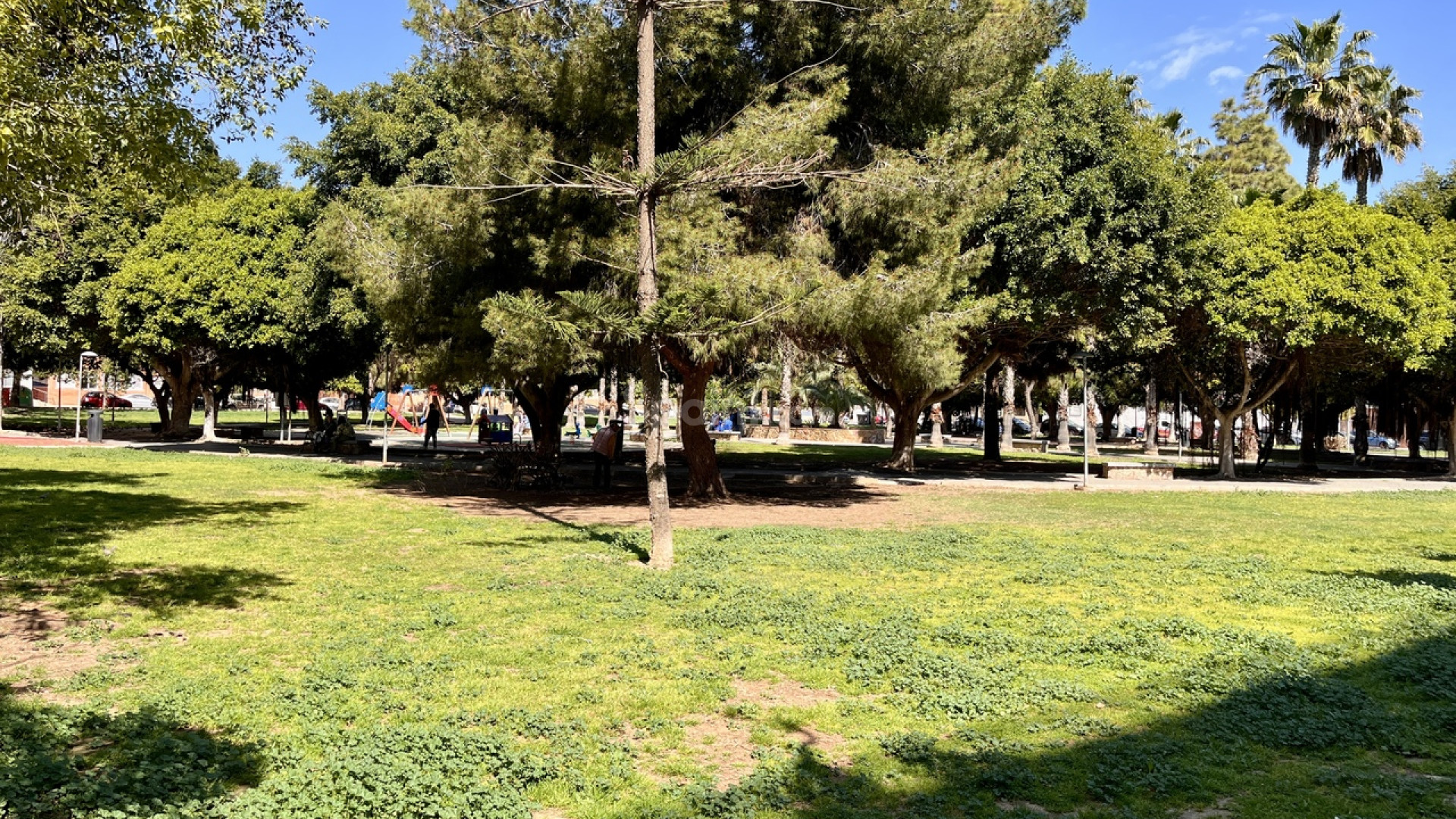 Segunda mano - Apartamento -
Torrevieja