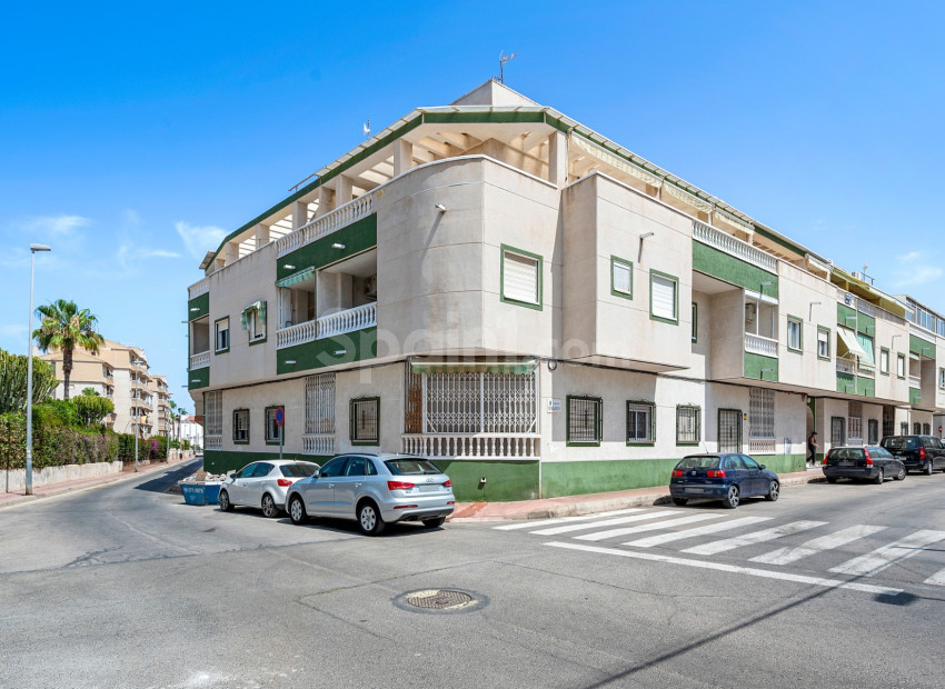 Segunda mano - Apartamento -
Torrevieja