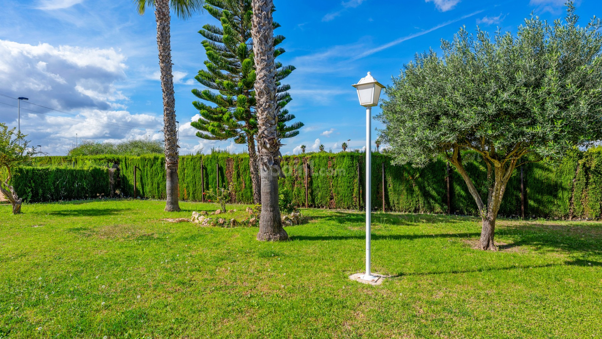 Segunda mano - Apartamento -
Torrevieja