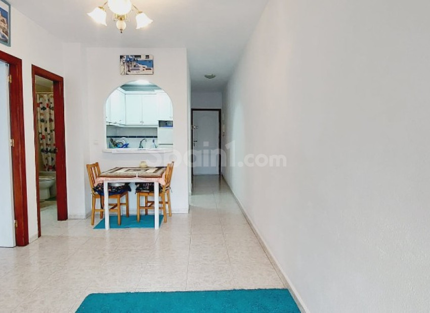 Segunda mano - Apartamento -
Torrevieja
