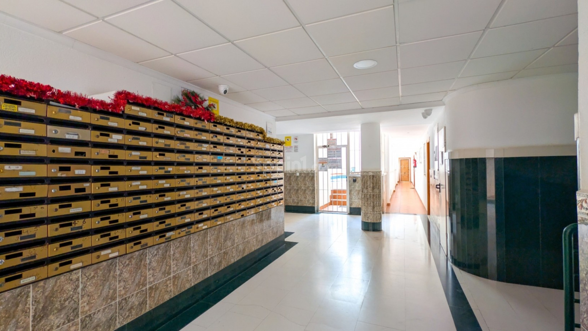 Segunda mano - Apartamento -
Torrevieja