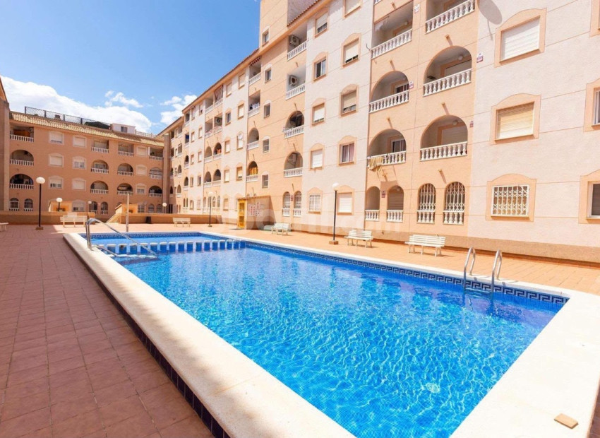 Segunda mano - Apartamento -
Torrevieja